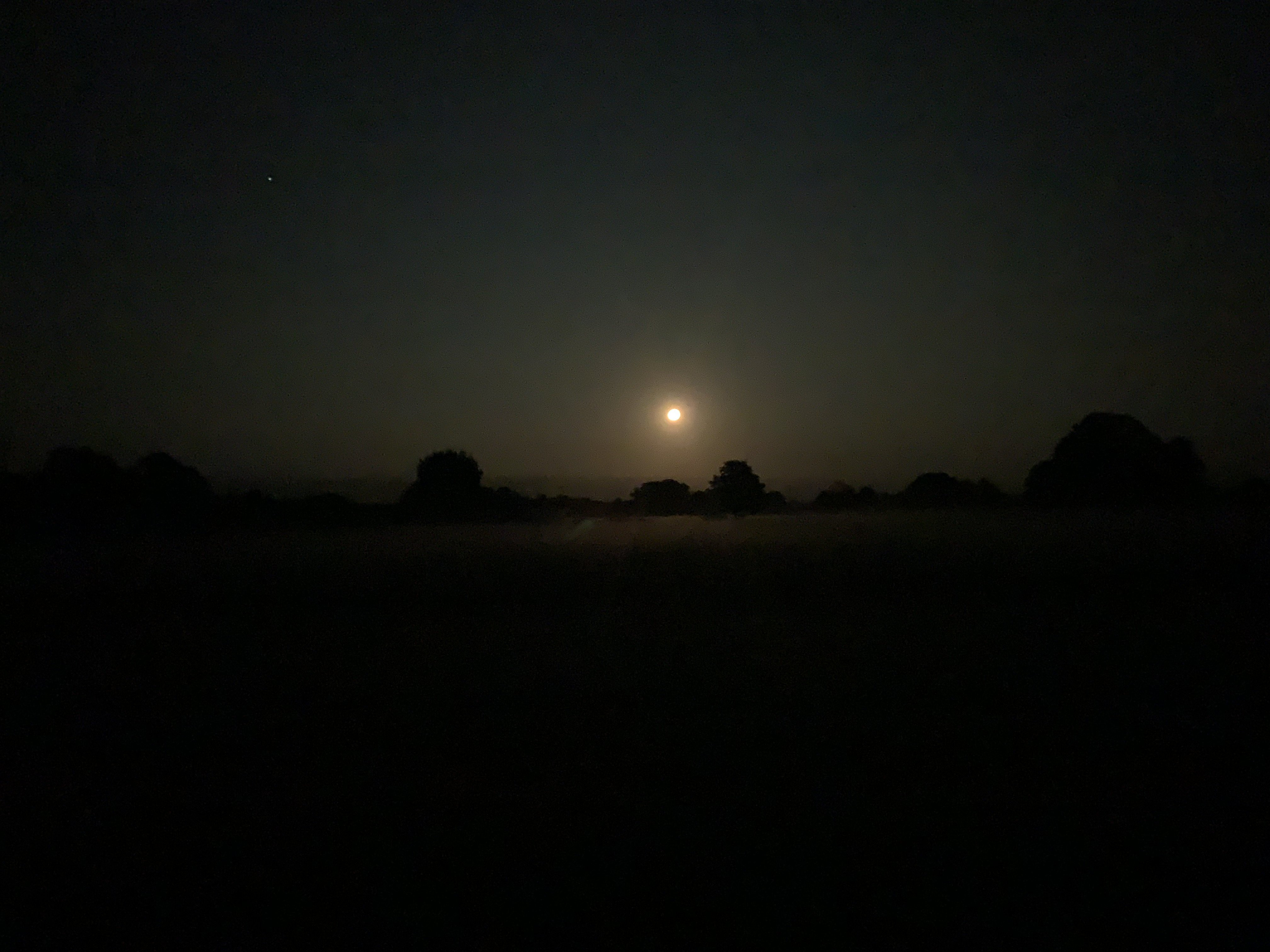 Ein Sonnenaufgang über der Wiese in Salderatzen.