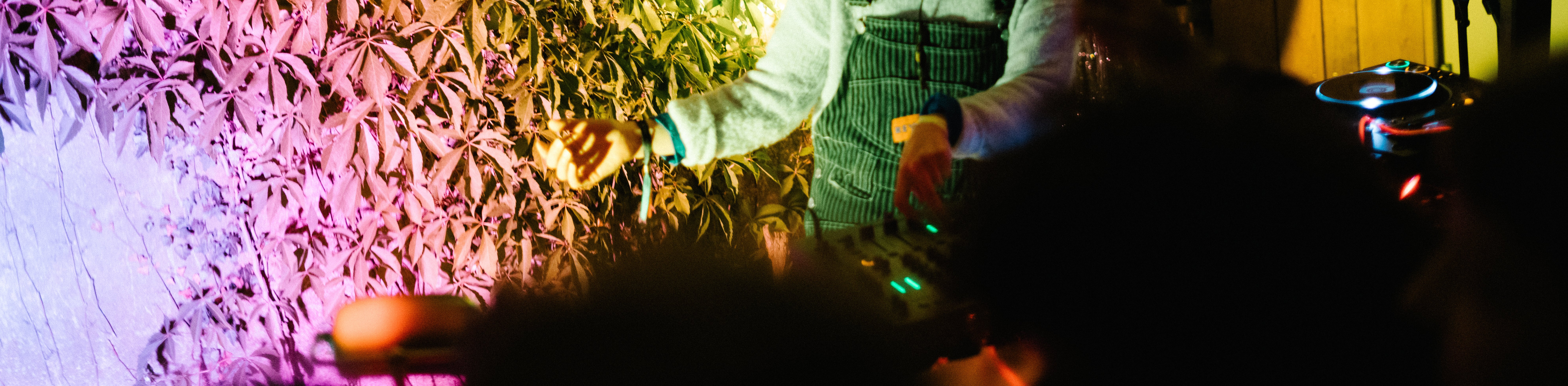 klp23_djtumera_banner.jpg