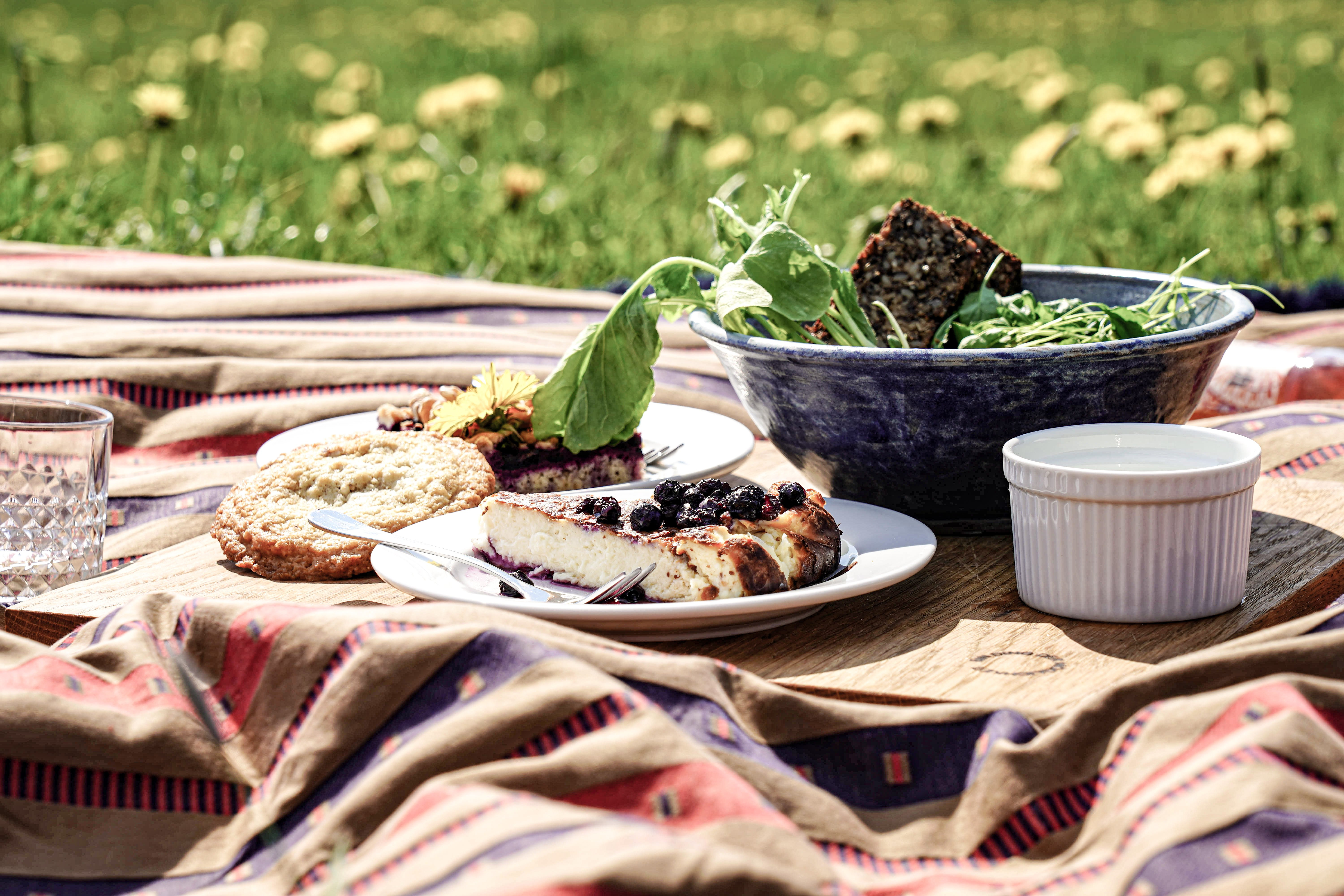 picnic-51.jpg