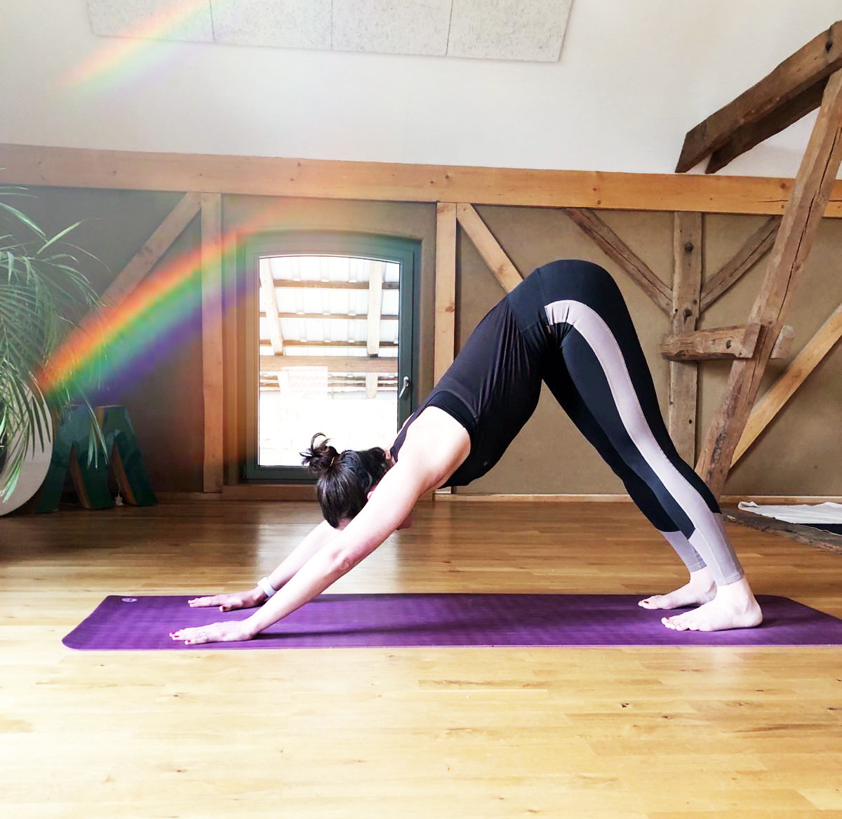 250417_vinyasa_yoga_marie_website-1746105609.jpg